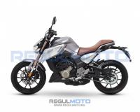 Regulmoto ALIEN MONSTER 300